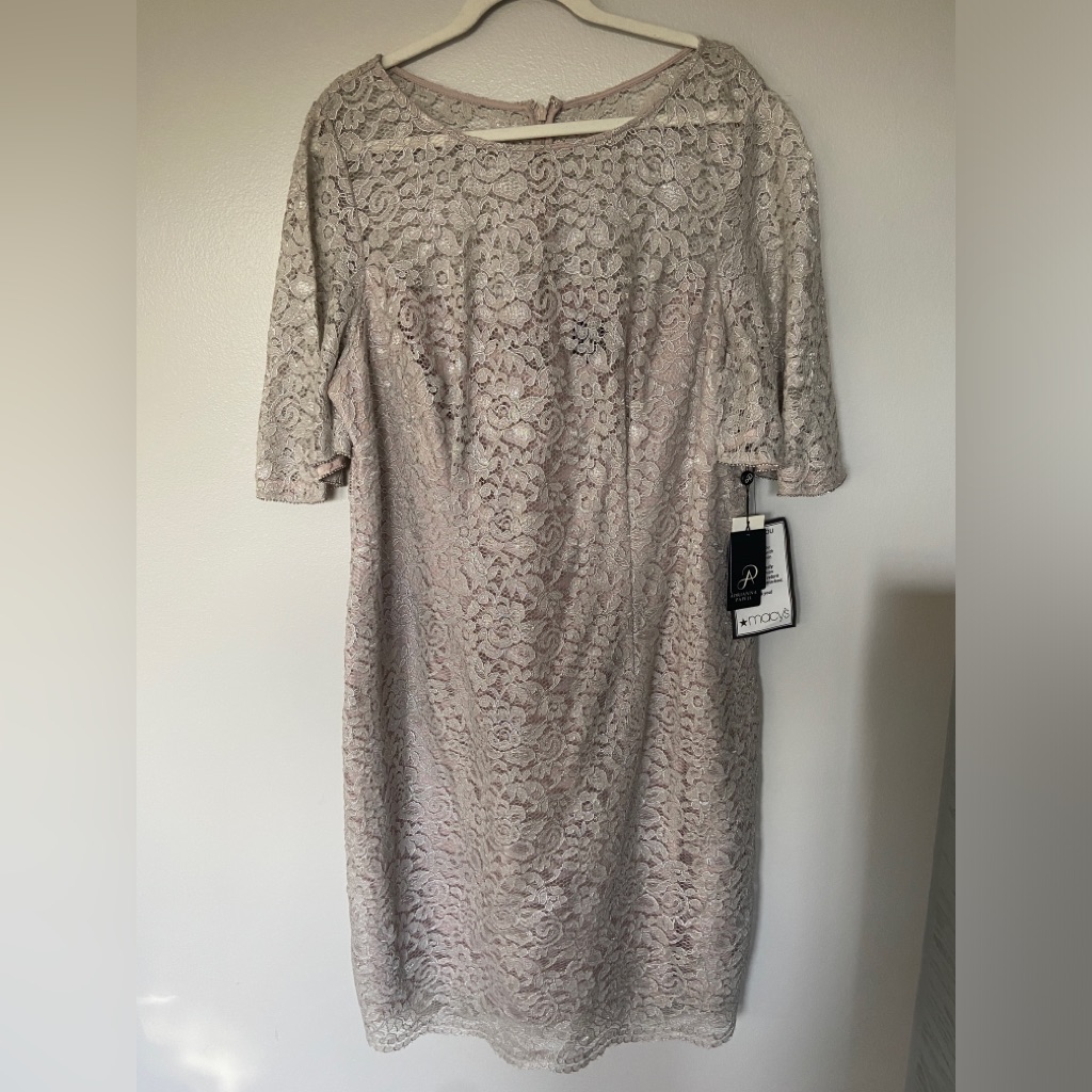 Adrienna Pappell Lace Dress Sz 18w Nwt Color Icy Lilac Gray Very Pretty Holiday